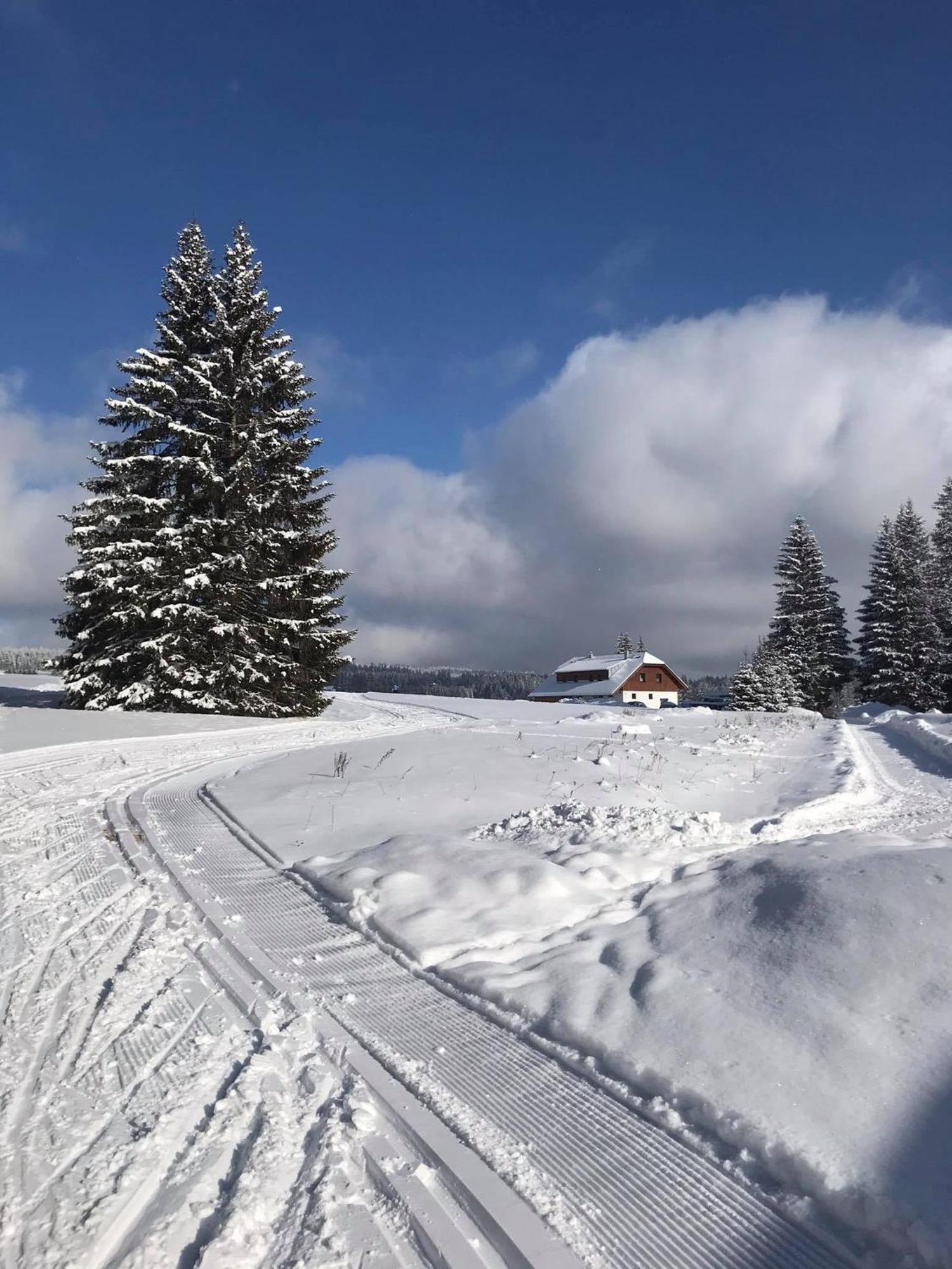 Apartmany V Chalupe Nad Modravou Modrava Luaran gambar